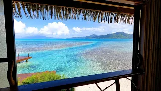 Tropical Heaven: 3 Hours of Seaside Cafe Ambience From French Polynesia