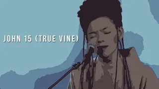 John 15 (True Vine) - Misty Edwards