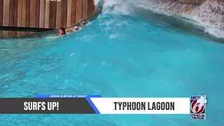 In the Loop: Surfing at Disney's Typhoon Lagoon