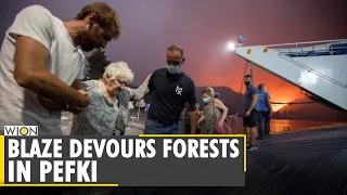 Wildfire devours Greek's second-largest island | Pefki | Athens | Mount Parnitha | WION English News