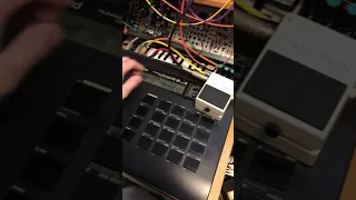 roland R8 & boss dd-3 beats