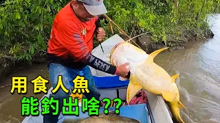 食人魚當餌，竹竿當釣鈎，能釣出什麽巨物？