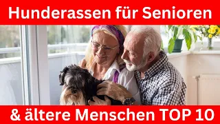 TOP 10 Hunderassen für Senioren & ältere Menschen 🐶