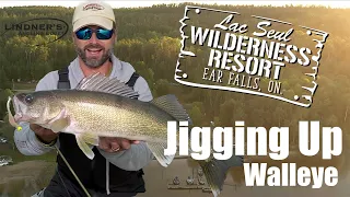 Jigging Up Walleye