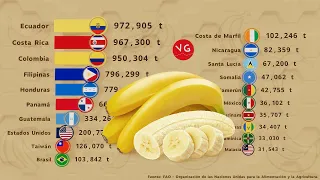 Los Países que Más Exportan Banana en el Mundo