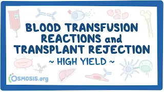 Blood transfusion reactions and transplant rejection: Pathology Review