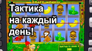 Играю так ежедневно! Как играть и выиграть в Crazy Monkey в Казино Вулкан Старс?