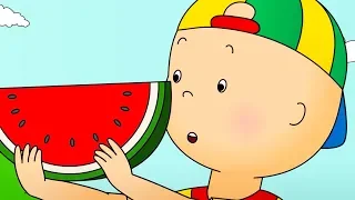 Caillou at the Picnic | Caillou Cartoon