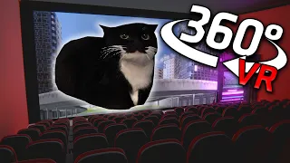 360° Maxwell The Cat - CINEMA HALL 2 | VR/4K