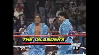 Killer Bees vs Islanders   Wrestling Challenge May 17th, 1987