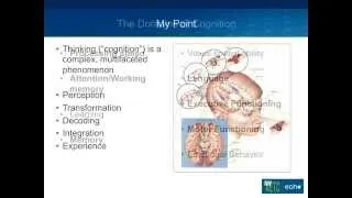 What Is Neuropsychological (Neurocognitive) Testing?