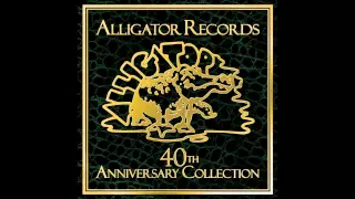 Johnny Winter ~ Mojo Boogie (Studio Version) - Alligator Records 40th Anniversary