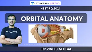 ORBITAL ANATOMY |  NEET-PG 2021 | Vineet Sehgal