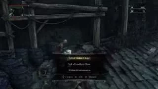 Bloodborne - Suspicious Beggar (Fight)