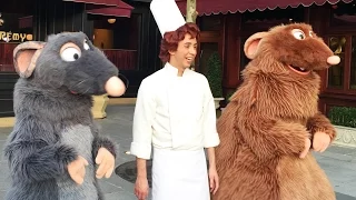 Rare Disney Characters at Disneyland Paris RunDisney 5k w/ Remy, Linguini, Emile, Roger Rabbit+