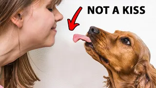 The Real Reason Dogs Lick You Is Disgusting