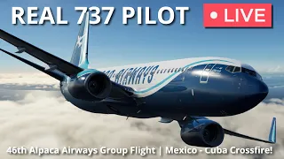 46th Alpaca Airways Group Flight | Cancun – Havana Crossfire | ZIBO MOD 737 | X-Plane 12