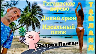 ТАЙЛАНД 2019 - ОБЗОР ОСТРОВА ПАНГАН VLOG #6