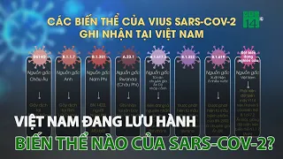 Việt Nam đang lưu hành biến thể nào của Sars-Cov-2? | VTC14