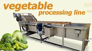 Industrial vegetable processing line | vegetable cutting,washing,drying machine for cabbage