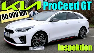 Kia ProCeed GT - 60.000 km Inspektion - Wartung Meinung Erfahrung Kosten Verbrauch Reparaturen