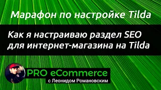 Как я настраиваю раздел SEO для интернет-магазина на Tilda