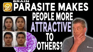 Brain-Altering Parasite Makes Infected People MORE Attractive To Others, Study Says