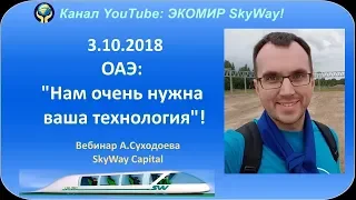 3.10.2018. Вебинар SkyWay Capital.  А.Суходоев