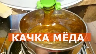 ОТКАЧКА МЁДА/как качаю мёд