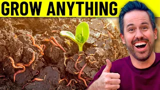 5 EASY Things To Do TODAY For The Best Soil!