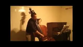 BRITTEN: THE YOUNG PERSON´S GUIDE TO THE ORCHESTRA double bass excerpt. Damián Rubido González, bass