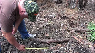 Large footprint found in Florida Swamp