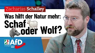 Schaf oder Wolf? – Zacharias Schalley (AfD)