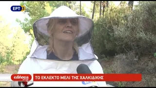 Το εκλεκτό μέλι της Χαλκιδικής