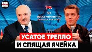 ВЕРБАЛЬНЫЕ ФОКУСЫ ЛУКАШЕНКО. Пропаганда или "спящая ячейка". Бюджетники под дулом пистолета