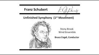 Unfinished Symphony 1st Movement  -Franz Schubert (1797-1828)