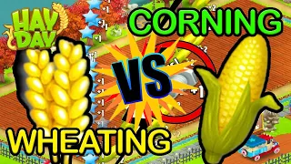 WHEATING VS CORNING! 😱🤑 Hay Day Weizen -oder Mais Farmen? Was ist besser? | SyromerB