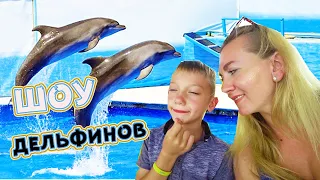 VLOG Стоит ли идти в дельфинарий в Кирилловке / ШОУ дельфинов