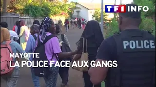 Mayotte : la police face aux gangs