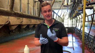 Using the CMT (California mastitis test)