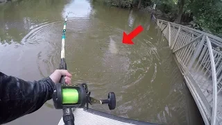 Catching HUGE Catfish in the Backwaters of a FLOODED CREEK