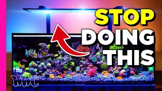 Is Light KILLING Your Corals?