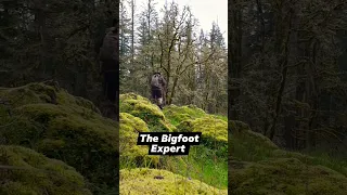The Bigfoot Expert.  What to do when entering "hostile Squatch territory son". Washington #bigfoot