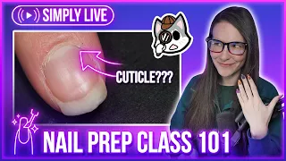 This Is How To Paint Your Nails!! 💅Simply Nail Painting 101 BEGINNER Q&A 🔴LIVE