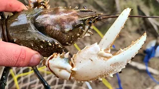 Bitten by a big crayfish