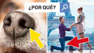 7 Preguntas que todos nos hemos hecho alguna vez 🤔[PyR]