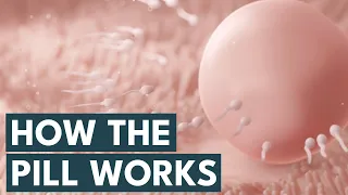 How The Pill Works | Missed Pill? Skipping Period?
