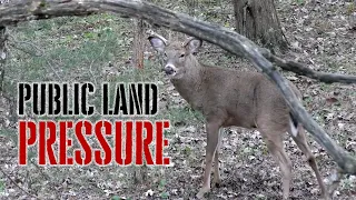 3 Valuable Public Land Deer Hunting Tips