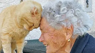 Lost Cat Won't Stop Hugging Its Owner After Being Reunited Years Later