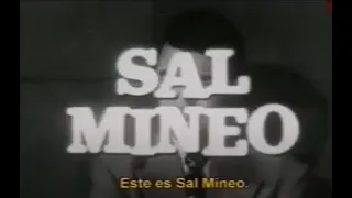 Sal Mineo: Misterios y escándalos